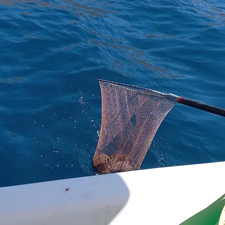 Kasti's House 1 Vromolithos