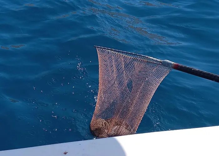 Kasti's House 1 Vromolithos